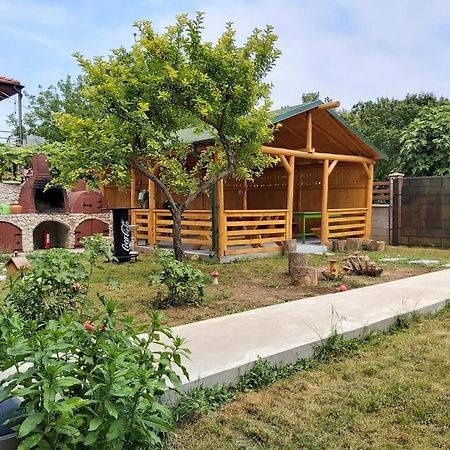 Apartmán Casa Calin Vama Veche Exteriér fotografie