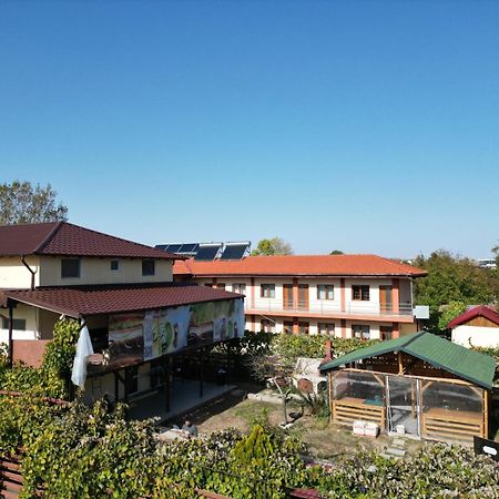 Apartmán Casa Calin Vama Veche Exteriér fotografie