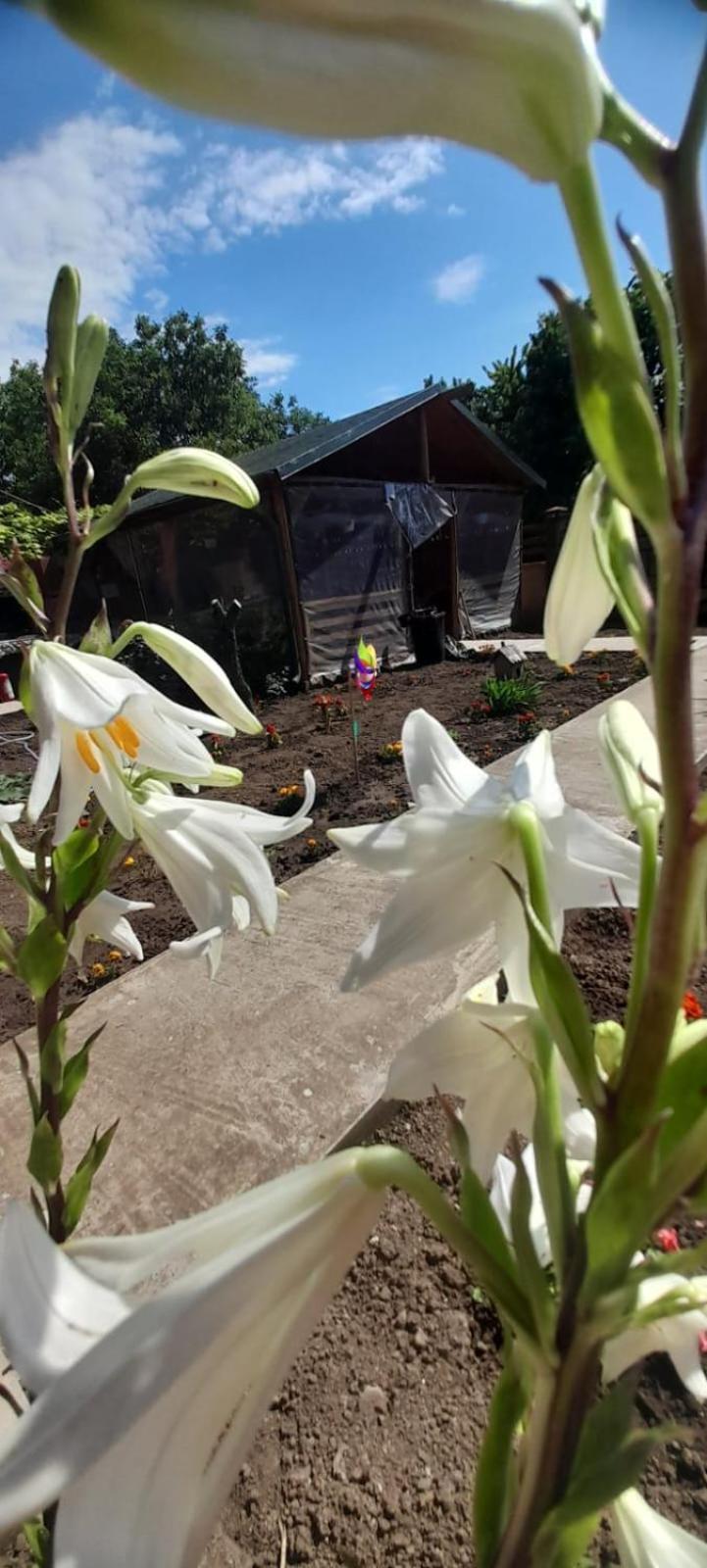 Apartmán Casa Calin Vama Veche Exteriér fotografie